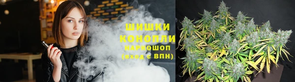 прущий лед Кадников