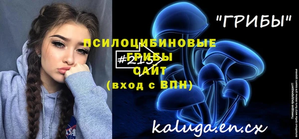 Альфа ПВП Тайга